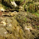 on Mauri e Miki Ferrata Burrone Giovanelli